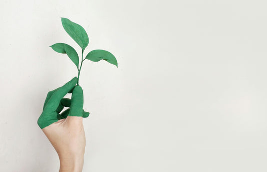 Fashion with a Conscience: How Iraahi Practices Sustainability